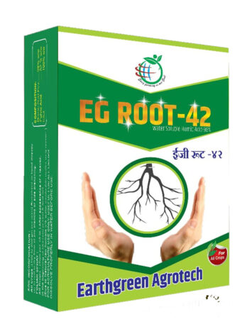 EG Root-42