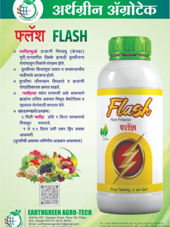 Flash