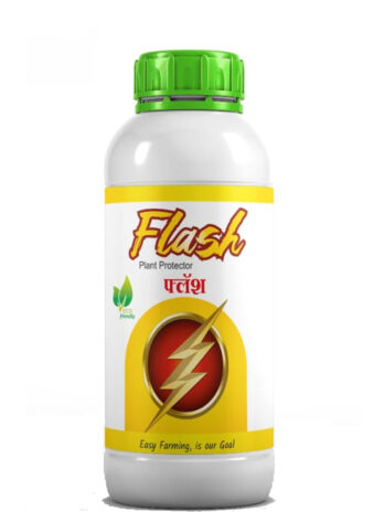 Flash