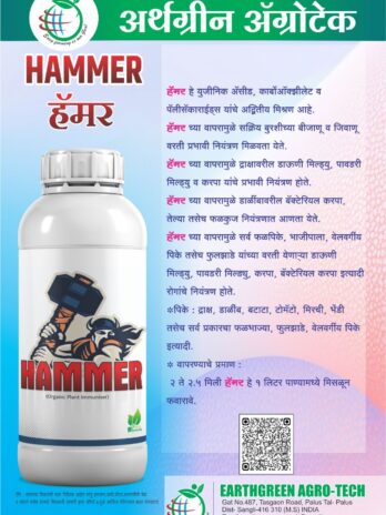 Hammer