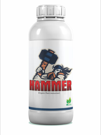 Hammer
