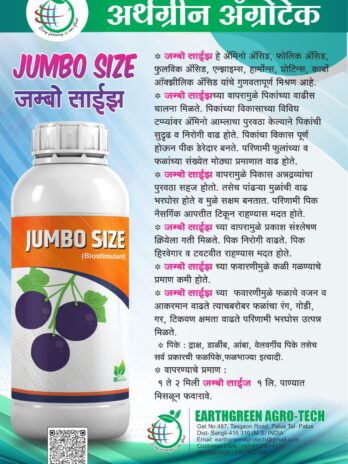 Jumbo Size