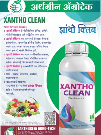 Xantho Clean