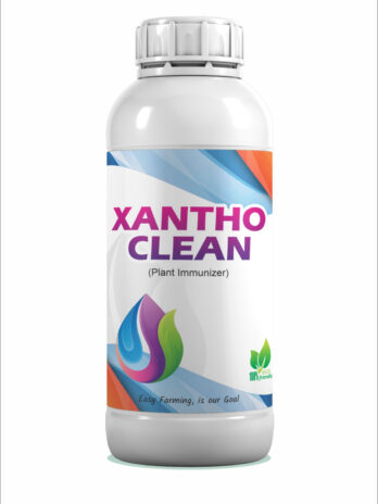 Xantho Clean