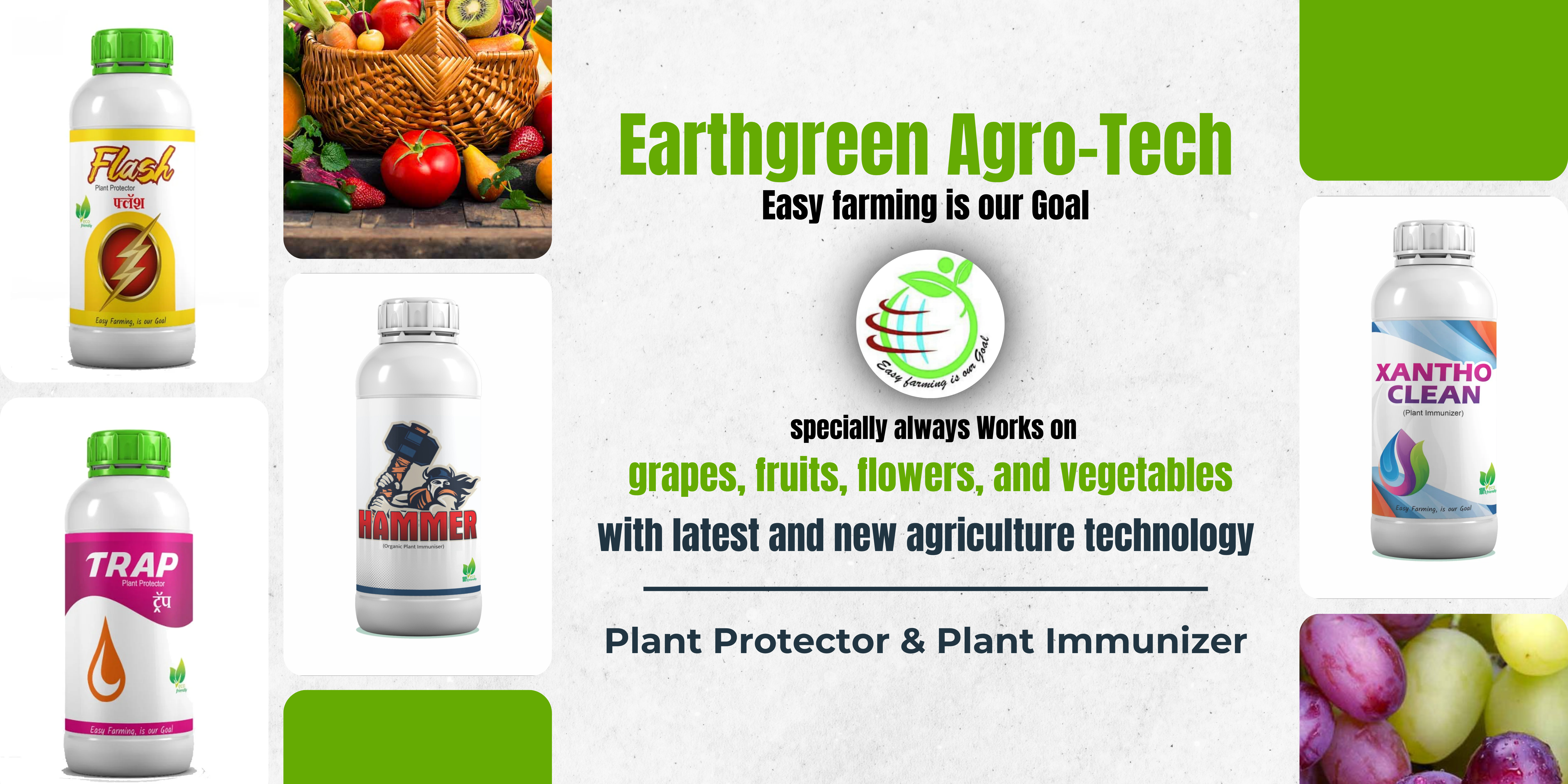 Delicious Food Menu Banner Design