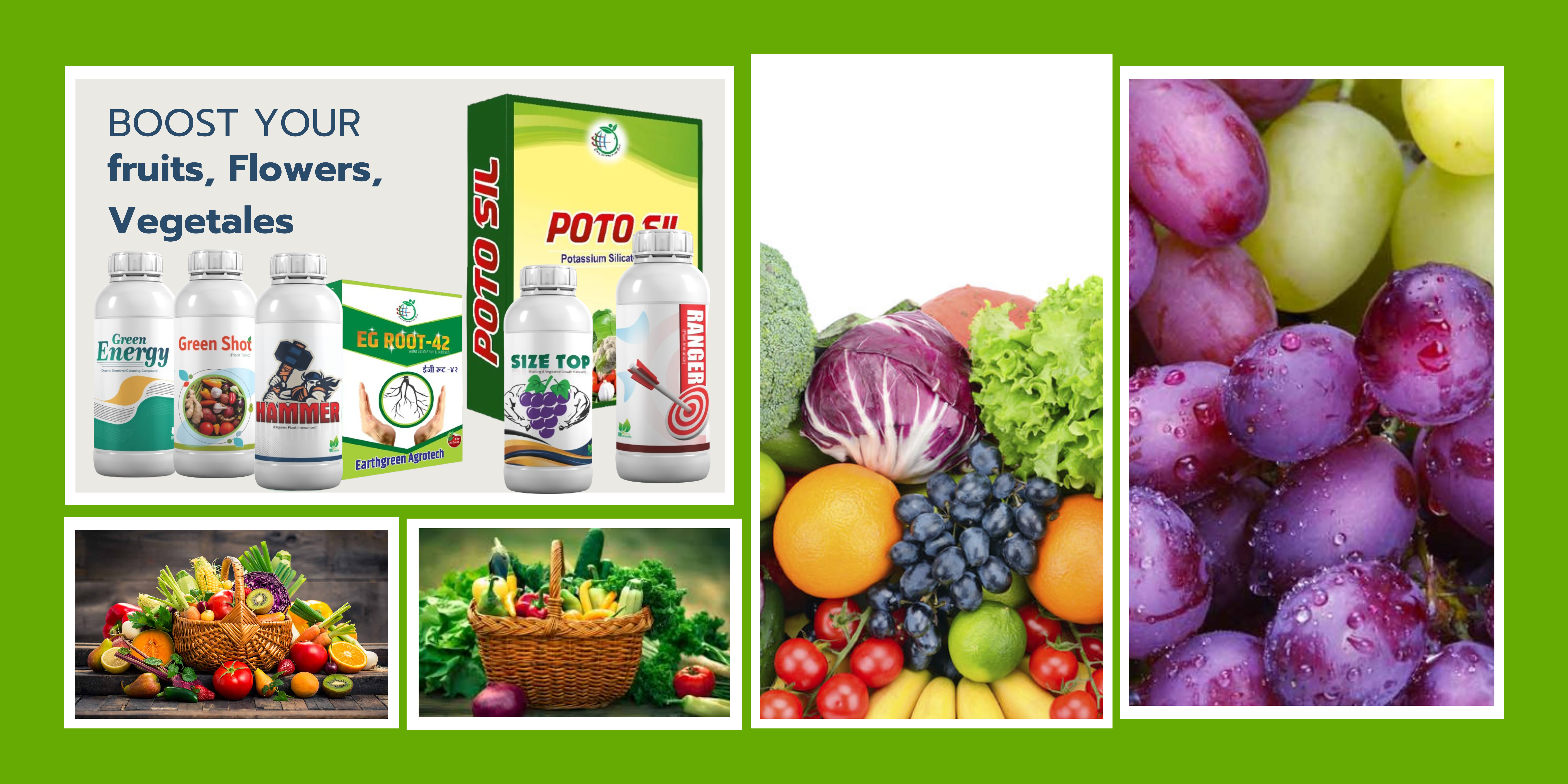 earthgreen-agrotech-website-banner