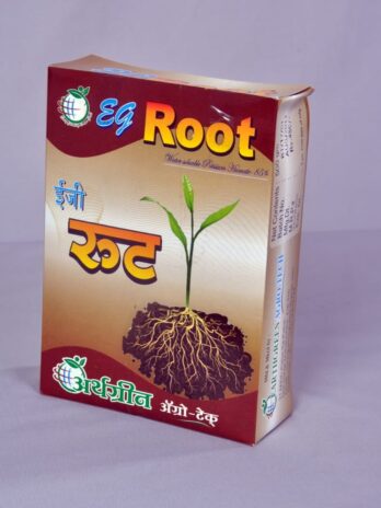 Eg Root (ईजी रुट)